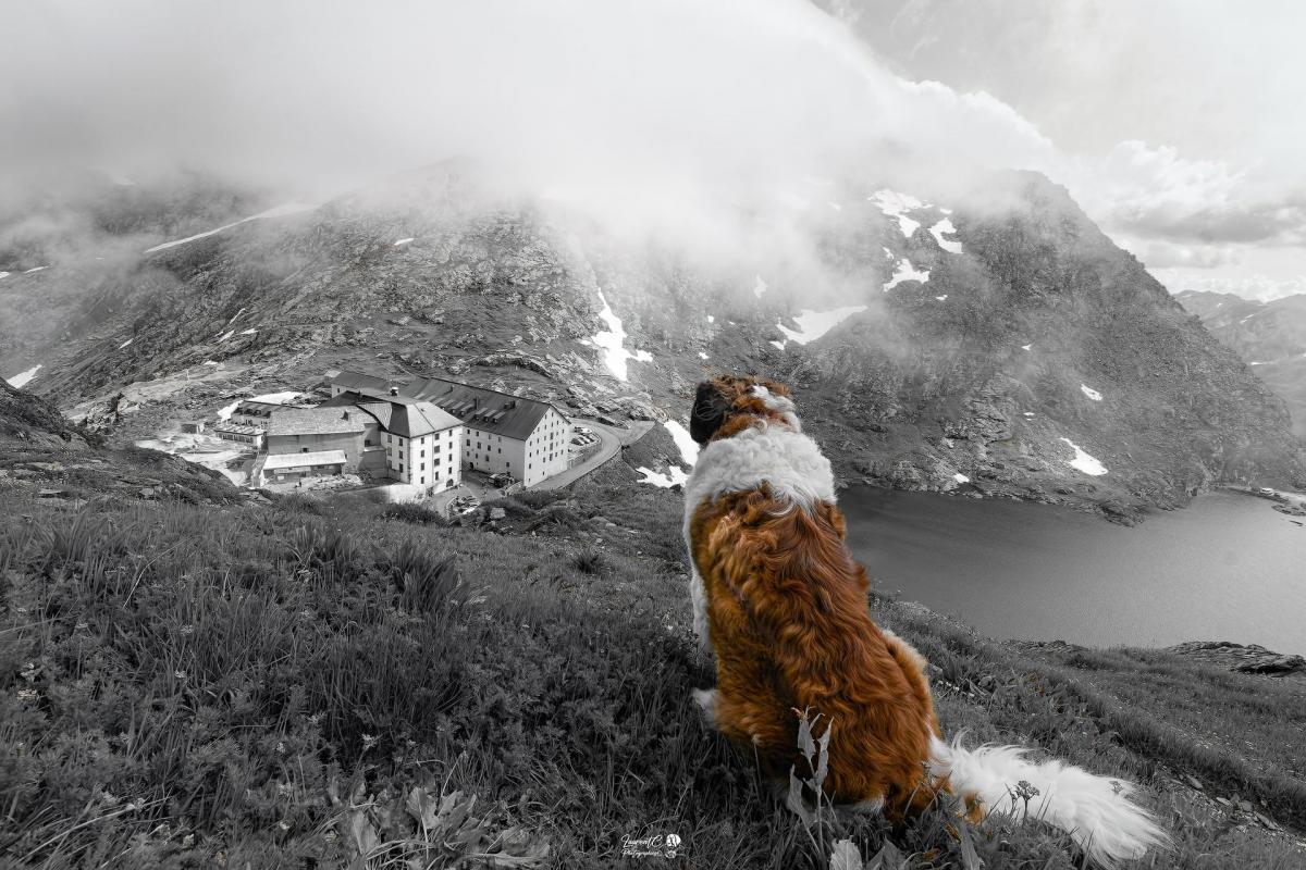 _DSC1100-NB_1920x1080